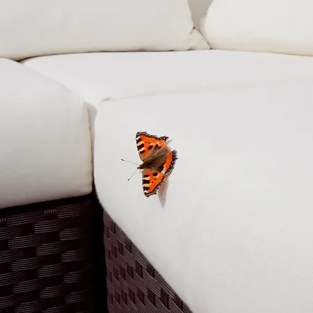 Hotel Strandhaus Belvedere 4*